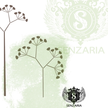 Трафарет - Анис